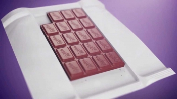 O &uacute;ltimo peda&ccedil;o