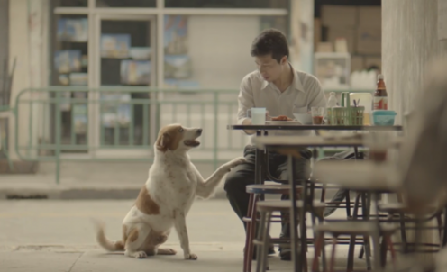 Comercial inspira a bondade com o pr&oacute;ximo