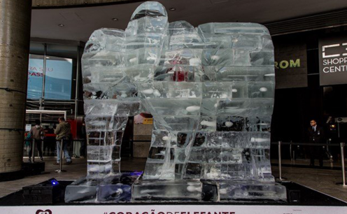 Com uma escultura em gelo de tr&ecirc;s metros colocada na Paulista, Amarula alerta sobre extin&ccedil;&atilde;o dos elefantes! 
