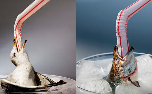 Greenpeace quer mostrar os problemas do uso excessivo de canudos pl&aacute;sticos! 