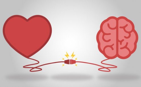 Share of Heart: A paix&atilde;o pela marca