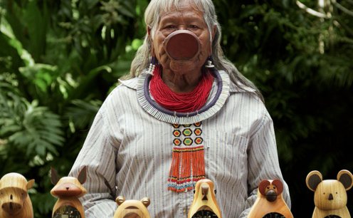 Um escudo digital para o meio ambiente, conhe&ccedil;a o C&oacute;digo da Consci&ecirc;ncia