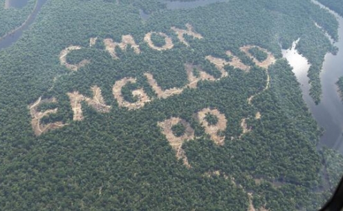 CENTENAS DE &Aacute;RVORES S&Atilde;O CORTADAS PARA APOIAR SELE&Ccedil;&Atilde;O INGLESA