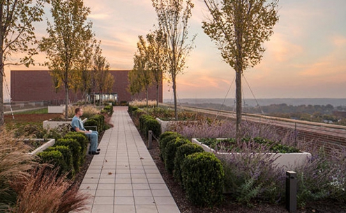 Hospitais utilizam o design com consci&ecirc;ncia para ajudar pacientes