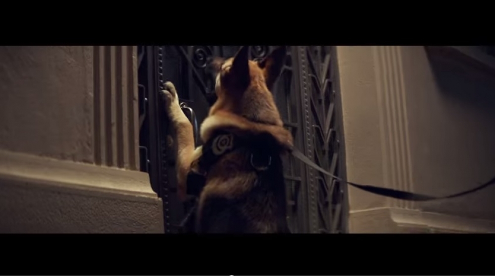 O Botic&aacute;rio: Dia do Homem