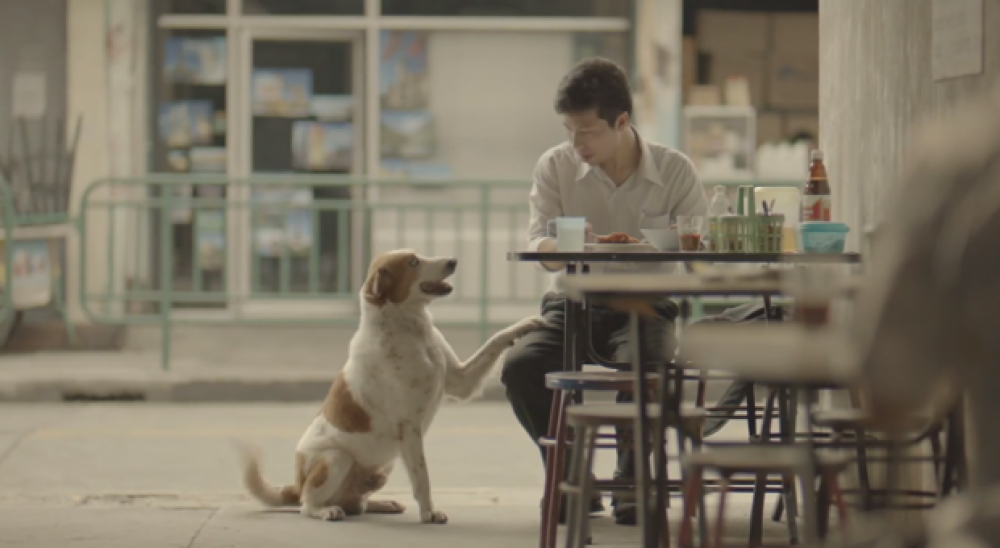 Comercial inspira a bondade com o pr&oacute;ximo