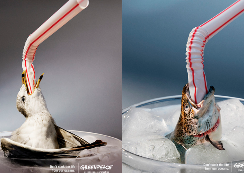 Greenpeace quer mostrar os problemas do uso excessivo de canudos pl&aacute;sticos! 
