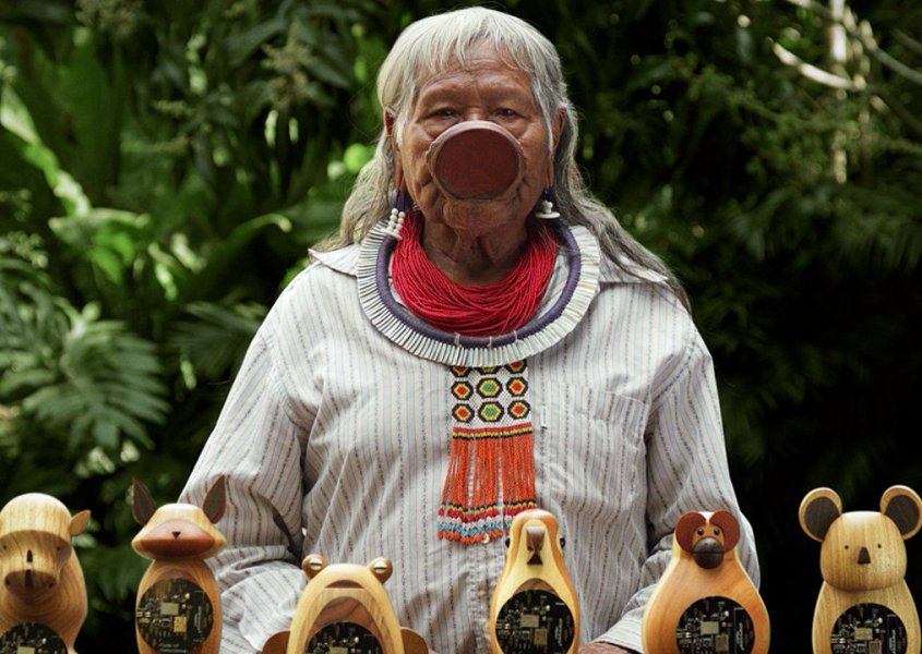 Um escudo digital para o meio ambiente, conhe&ccedil;a o C&oacute;digo da Consci&ecirc;ncia