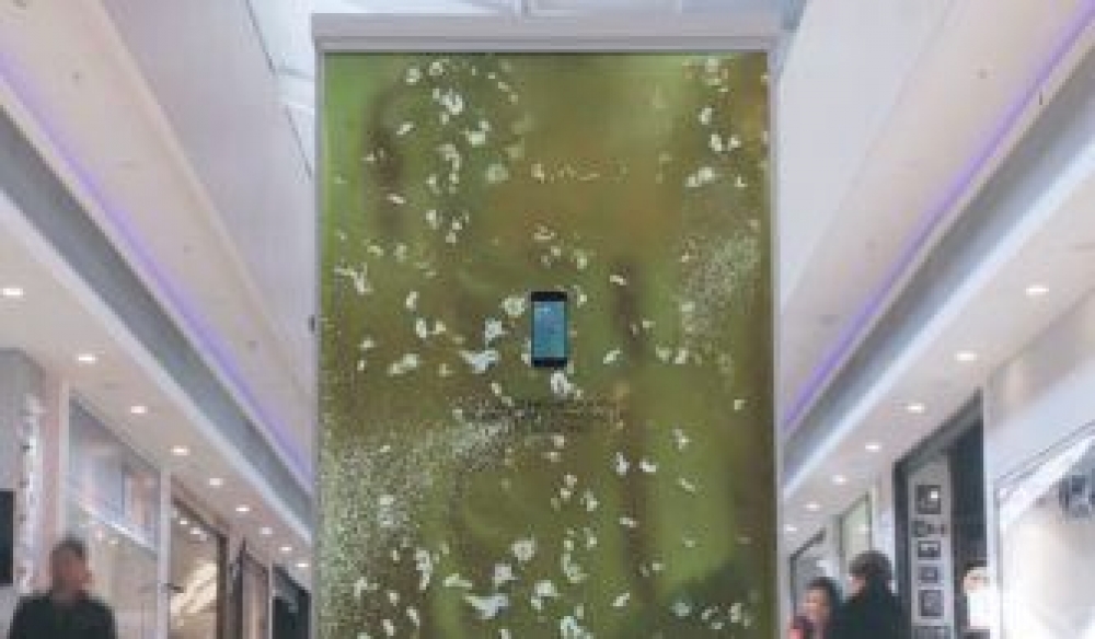 Cultura de bact&eacute;rias em pain&eacute;is alertam sobre higiene pessoal